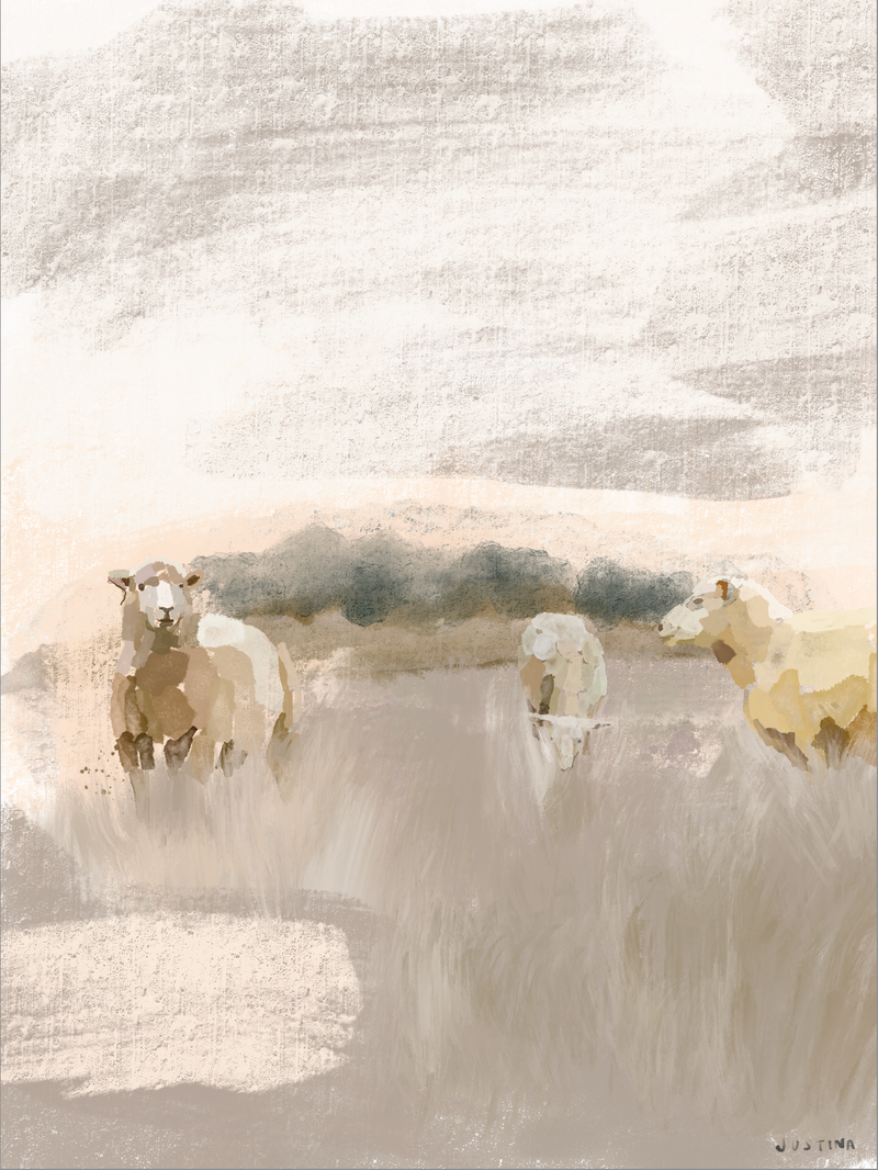 My Sheep
