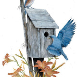 House of Hope