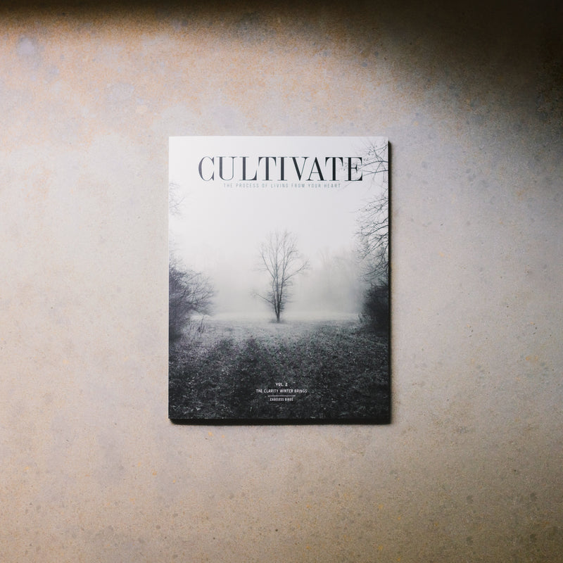 CULTIVATE Vol. II  //  The Clarity Winter Brings
