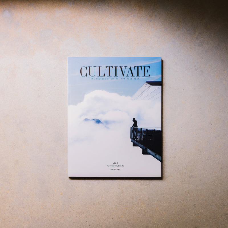 CULTIVATE Vol. III  //  Fly High Build Home