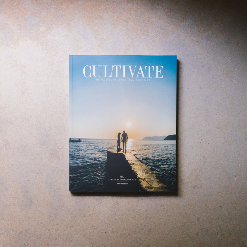 CULTIVATE Vol. VI  //  The Art of Connection Pt. II